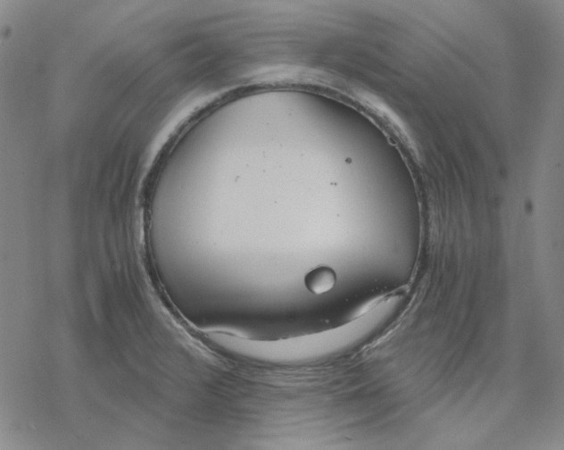 X0000076391376200610271542