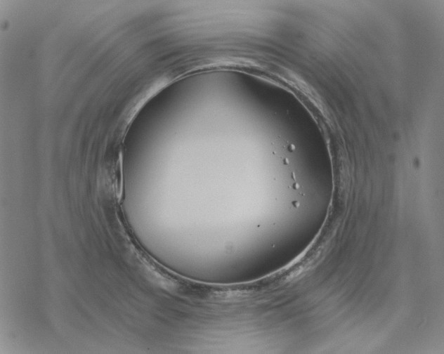 X0000076391377200610271542