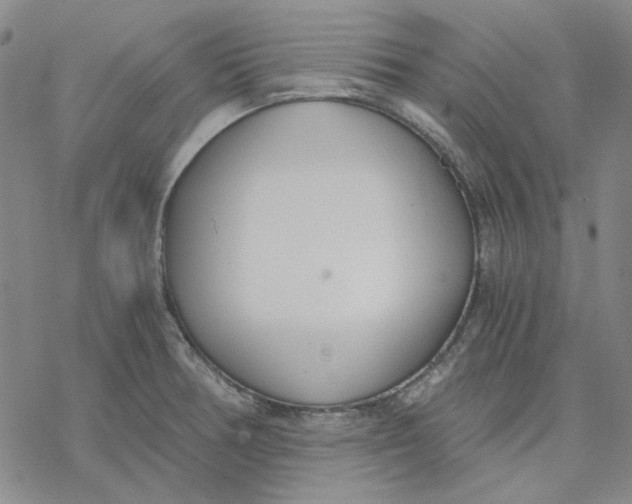 X0000076391378200610271542