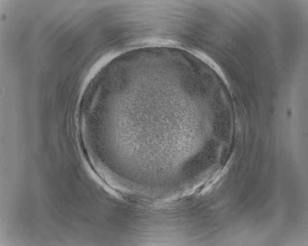 X0000076391381200610271542