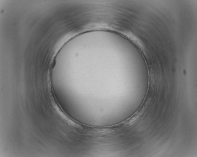 X0000076391382200610271542