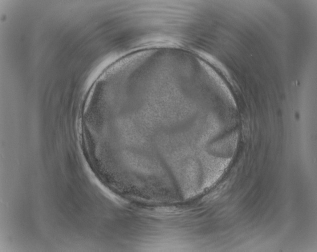 X0000076391383200610271542