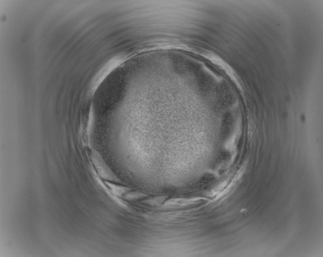 X0000076391385200610271542