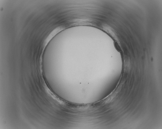 X0000076391386200610271542