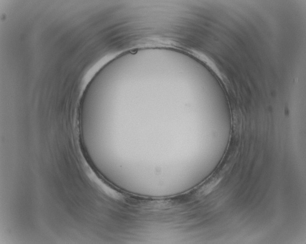 X0000076391387200610271542