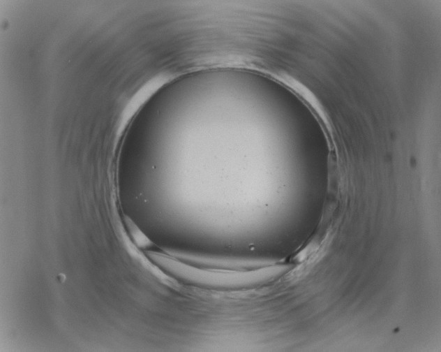 X0000076391389200610271542