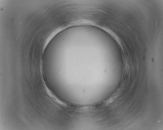 X0000076391390200610271542