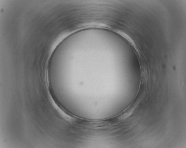 X0000076391391200610271542