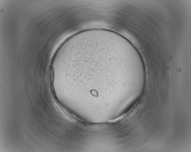 X0000076391392200610271542