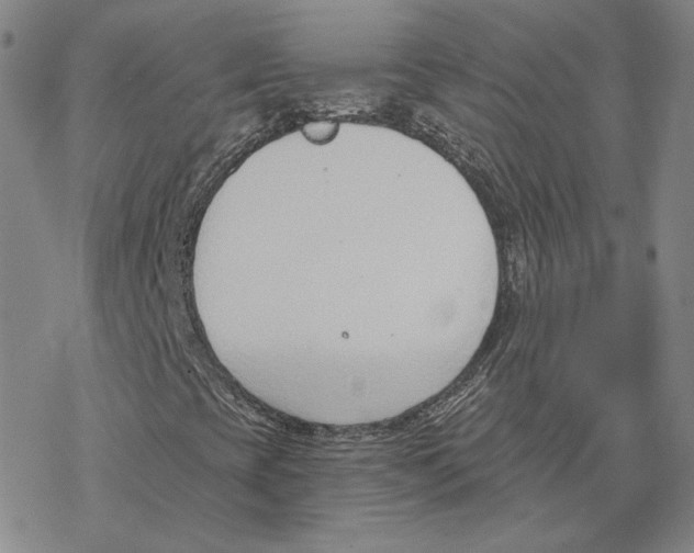 X0000076391393200610271541