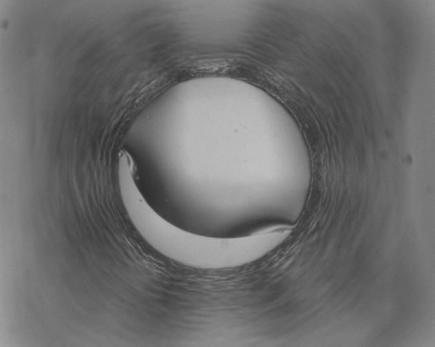 X0000076391394200610271541