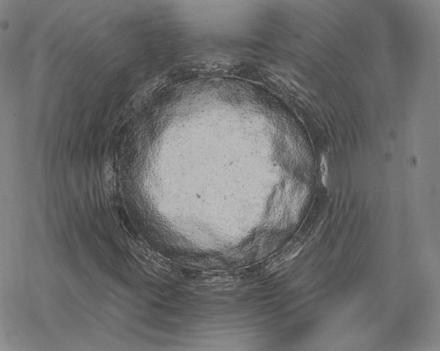 X0000076391395200610271541