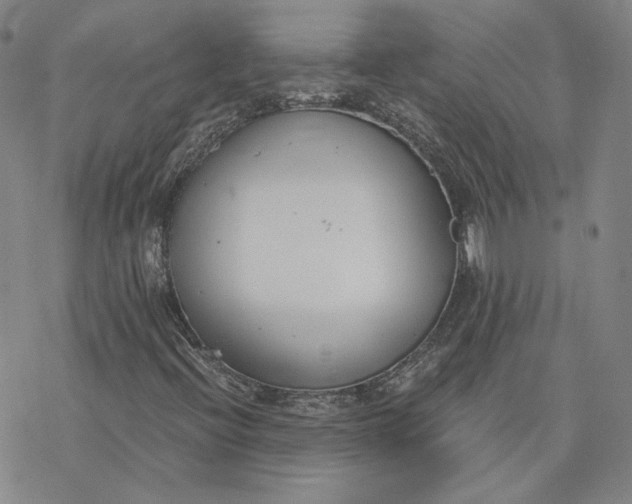 X0000076391396200610271541