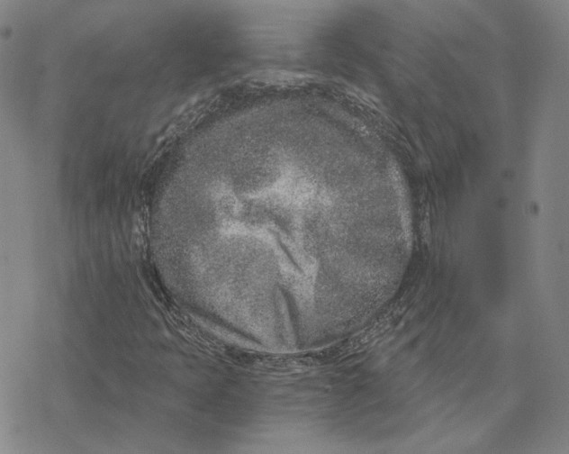 X0000076391397200610271541