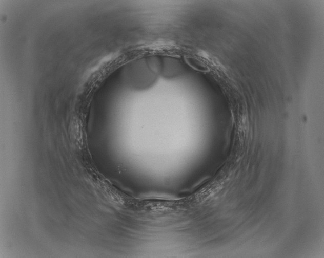 X0000076391398200610271541