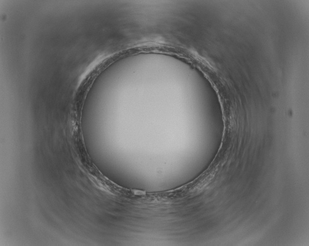 X0000076391400200610271541