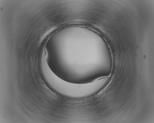 X0000076391402200610271541