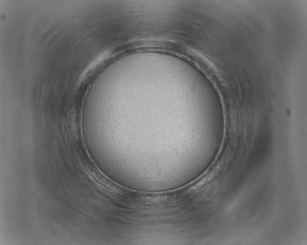 X0000076391403200610271541