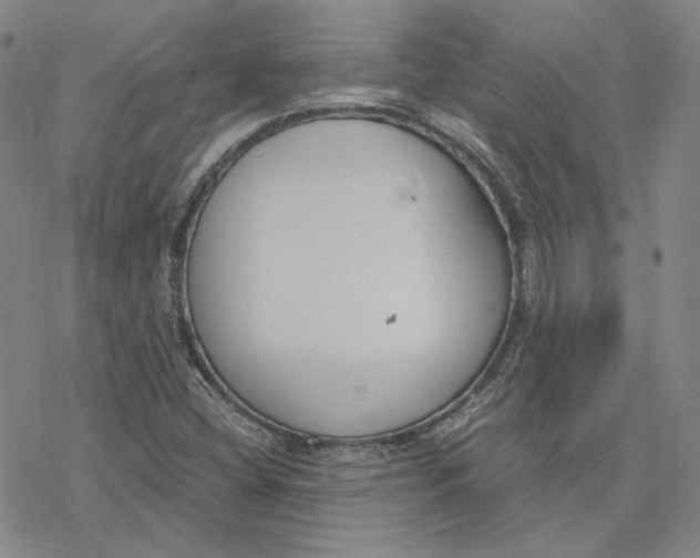 X0000076391404200610271541