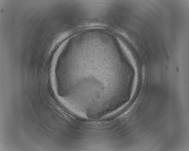 X0000076391405200610271541