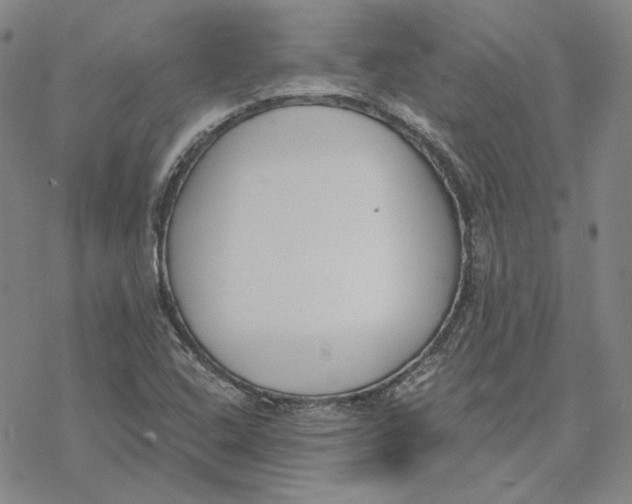 X0000076391408200610271541