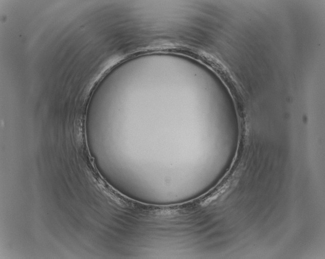 X0000076391409200610271541