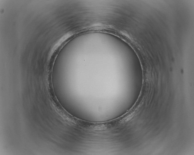 X0000076391410200610271541