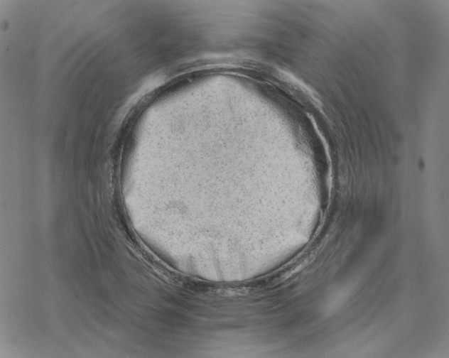 X0000076391411200610271541