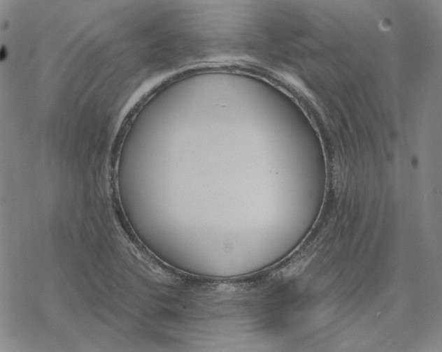 X0000076391412200610271541