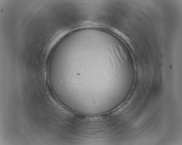 X0000076391415200610271541