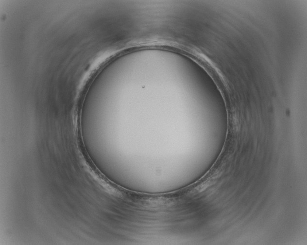 X0000076391416200610271541