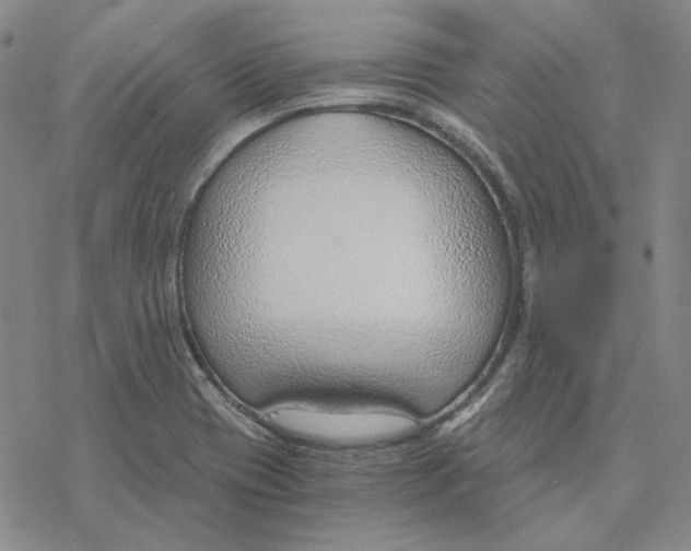 X0000076391417200610271541