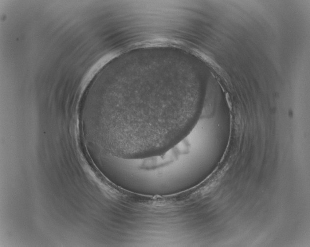 X0000076391418200610271541