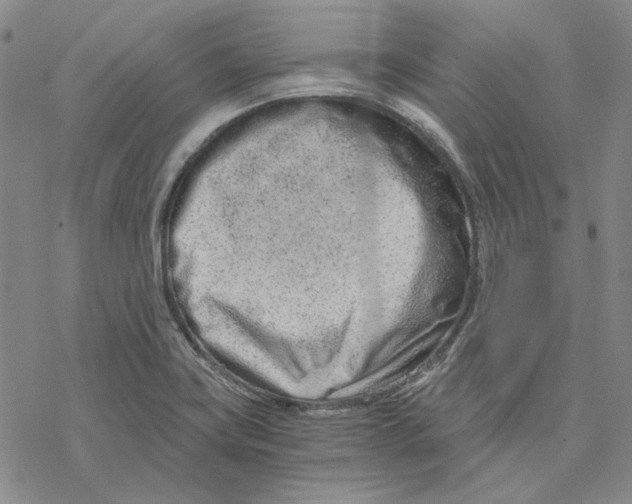 X0000076391419200610271541