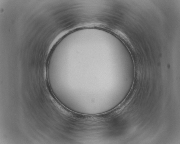 X0000076391420200610271542