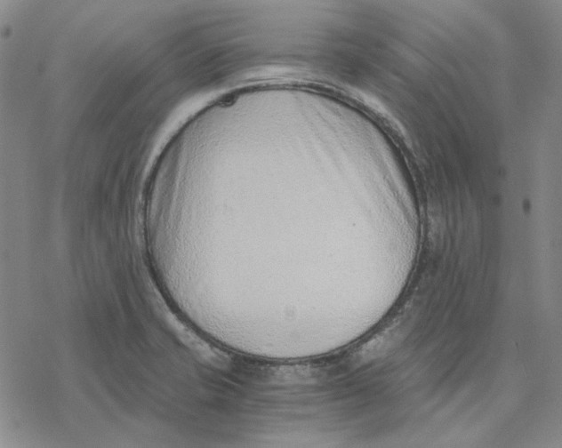 X0000076391421200610271542