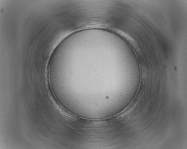 X0000076391423200610271542