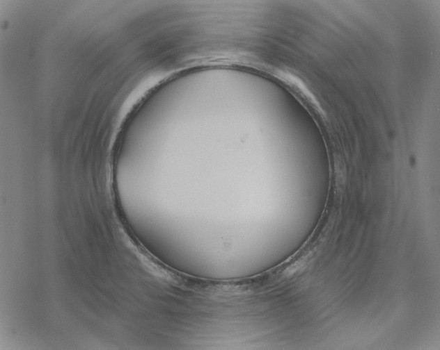 X0000076391424200610271542