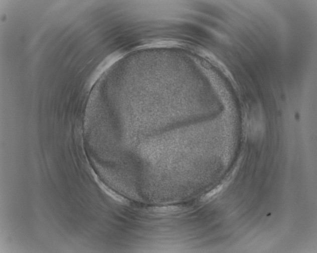 X0000076391425200610271542