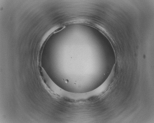 X0000076391426200610271542