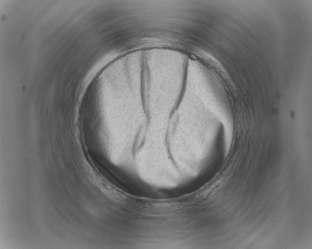 X0000076391427200610271542