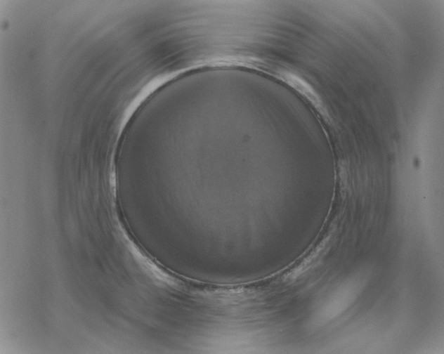 X0000076391428200610271542