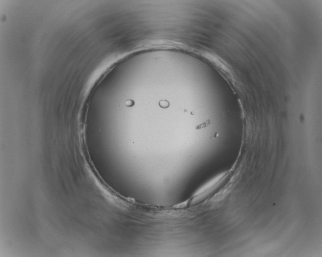 X0000076391430200610271542