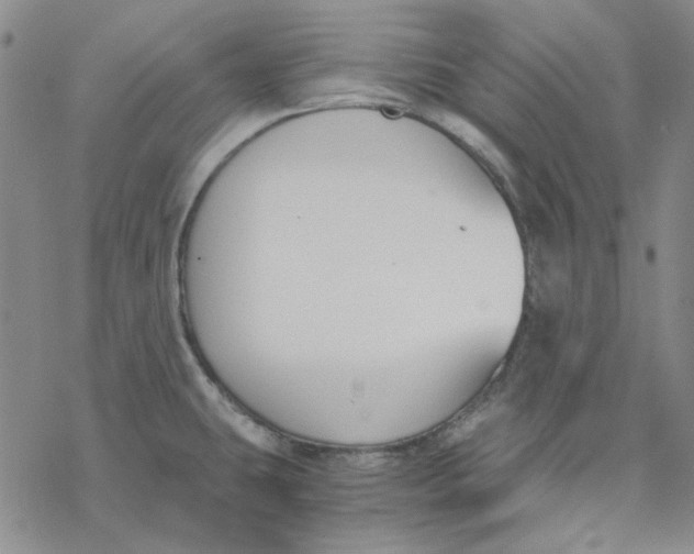 X0000076391431200610271542