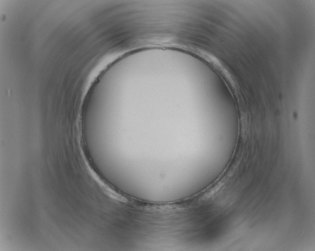 X0000076391432200610271542