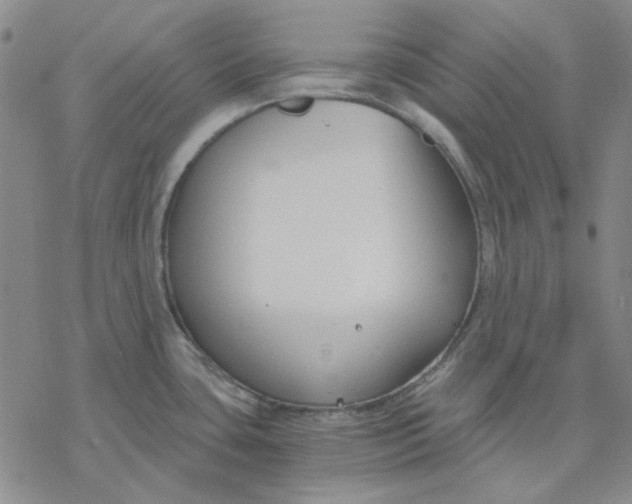 X0000076391435200610271542