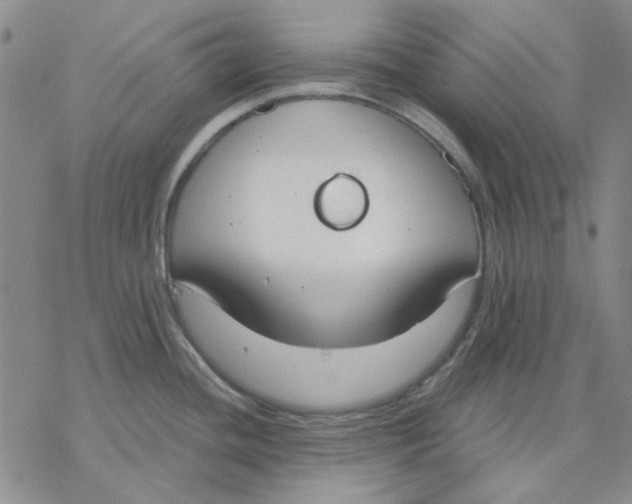 X0000076391436200610271542