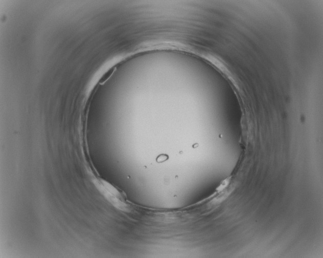 X0000076391438200610271542