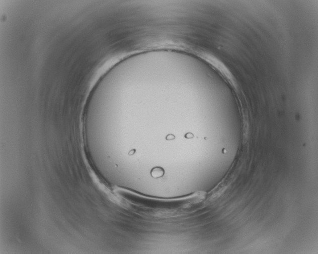 X0000076391439200610271542