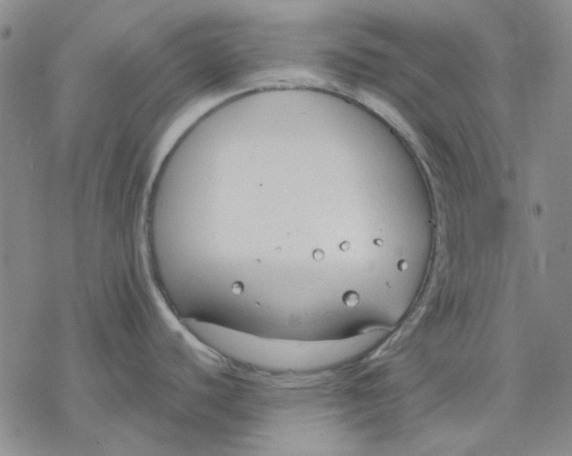 X0000076391440200610271542